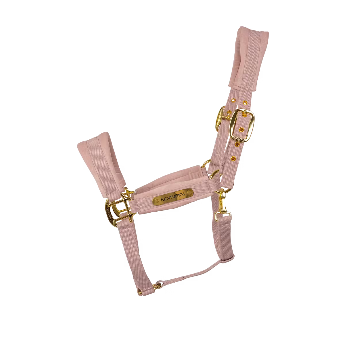 Kentucky Velvet Grimma