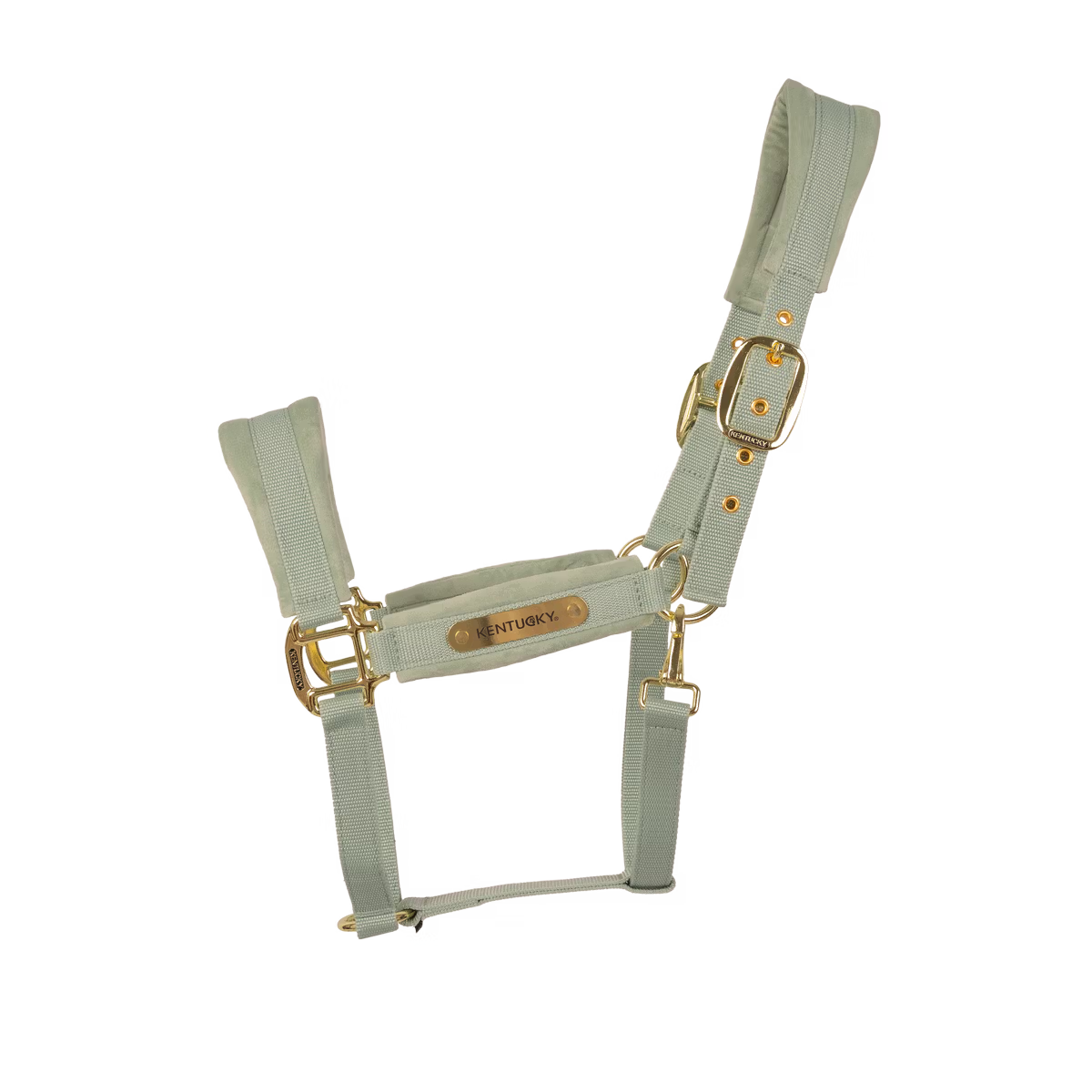 Kentucky Velvet Grimma