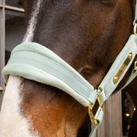 Kentucky Velvet Grimma