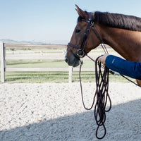 Kentucky Longerrep 8m