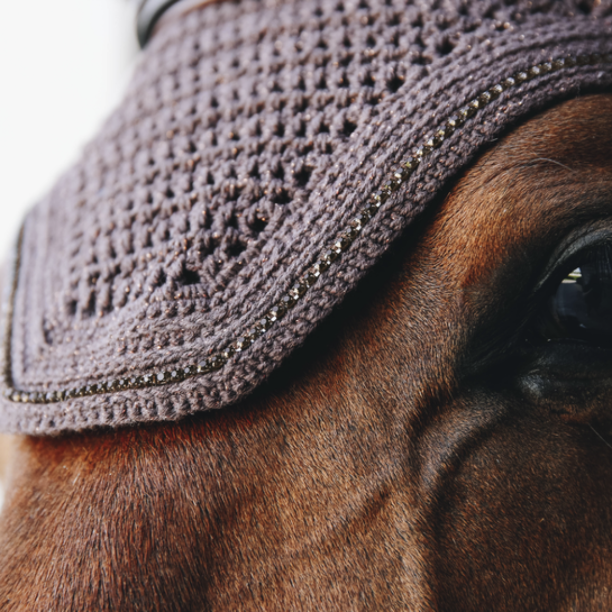 Kentucky Fly veil Wellington sparkling Soundless