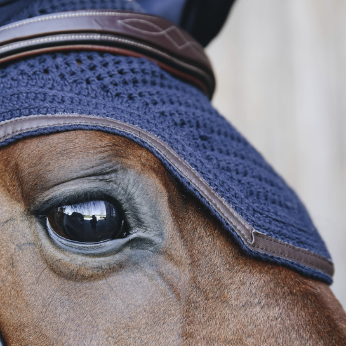 Kentucky Fly veil Wellington leather