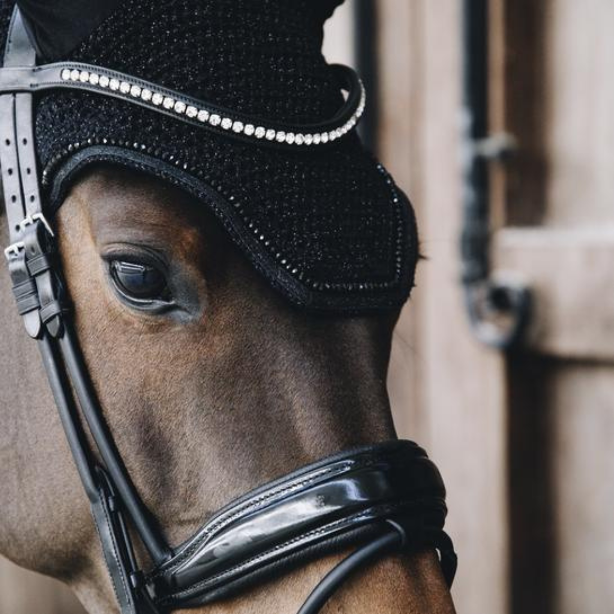 Kentucky Fly veil Wellington glitter