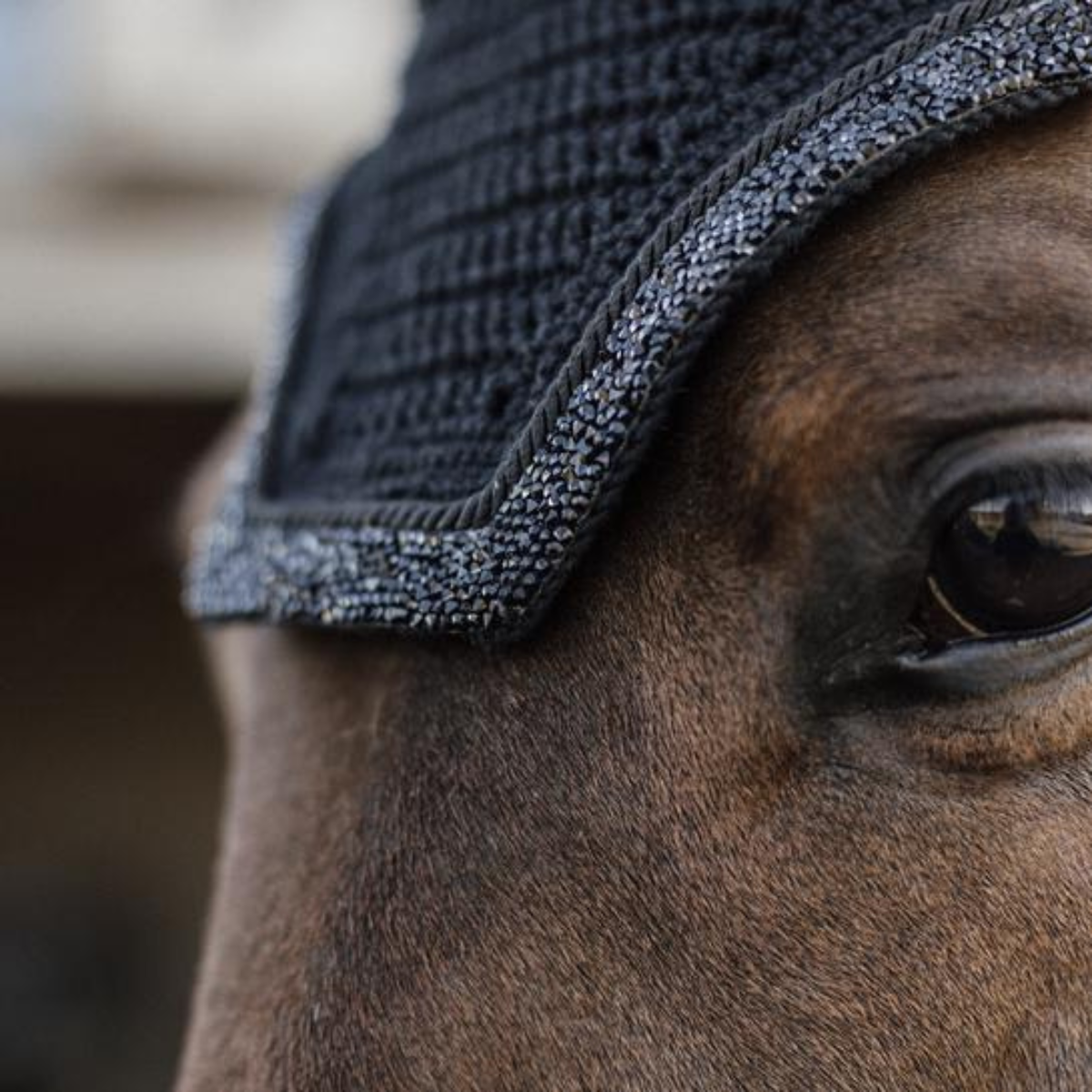 Kentucky Fly veil Wellington Glitter stone