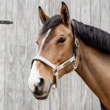 Kentucky Nylon Grimma med Anatomisk Nackstycke