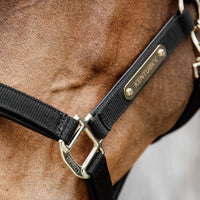 Kentucky Nylon Grimma med Anatomisk Nackstycke