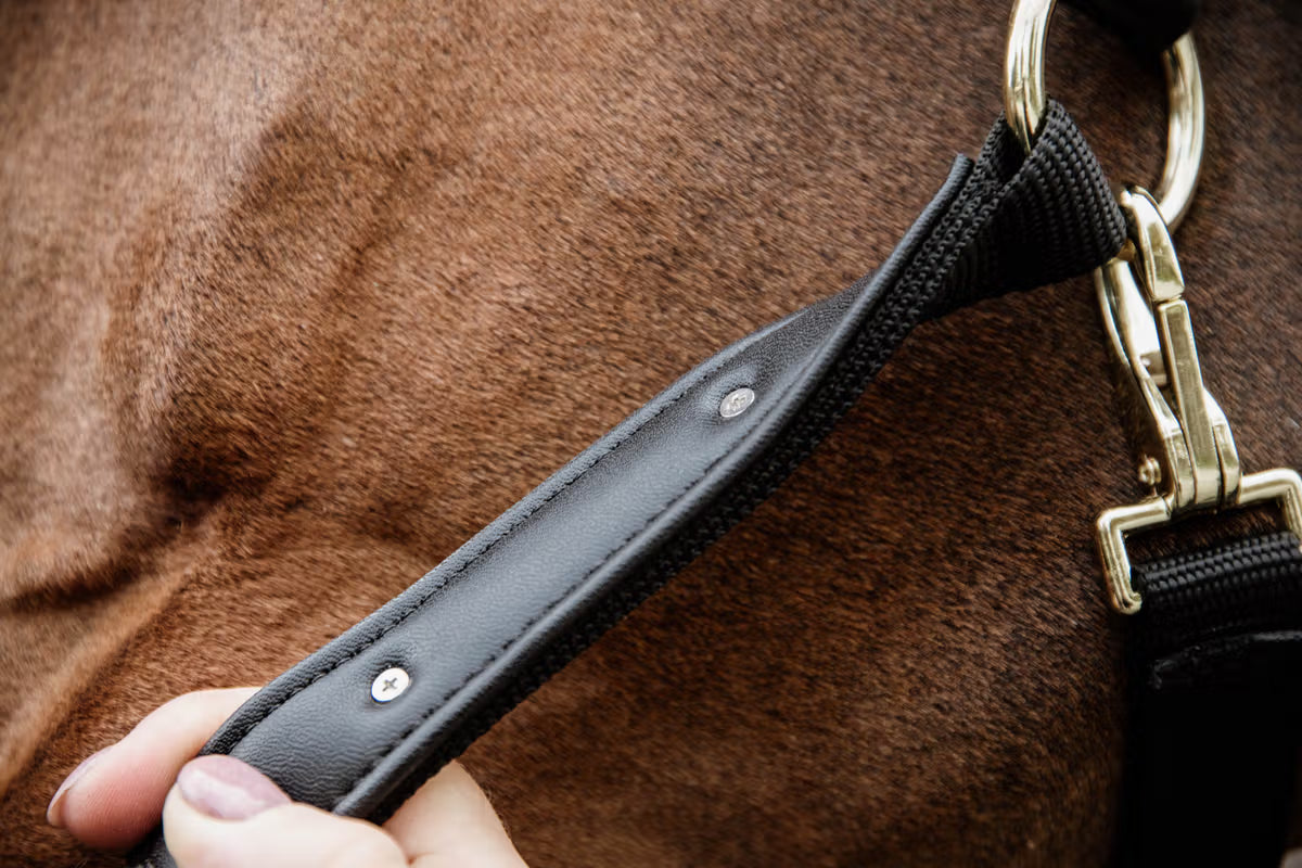 Kentucky Nylon Grimma med Anatomisk Nackstycke