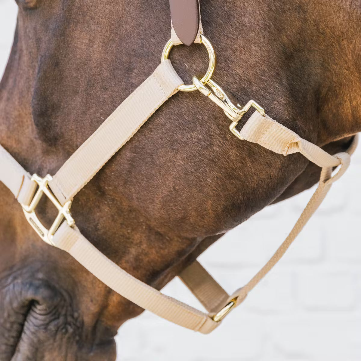 Kentucky Nylon Grimma Breakaway