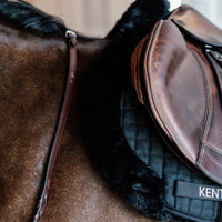 Kentucky Vojlock Skin Friendly Hopp