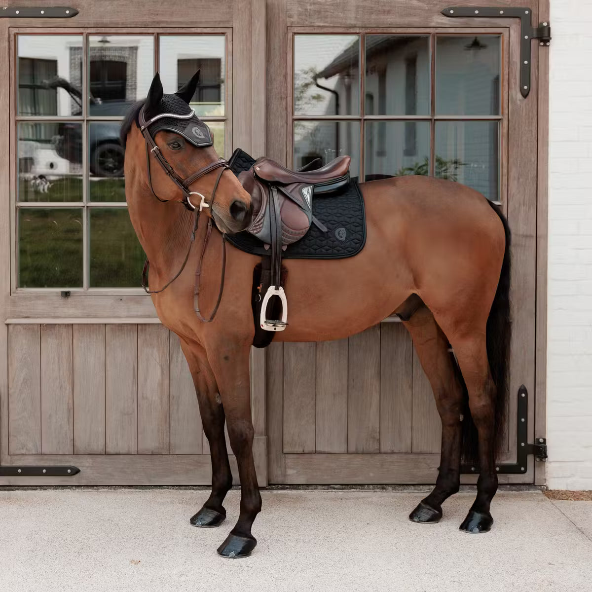 Kentucky Saddle Pad Sparkling Logo Jumping