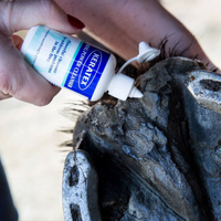 Keratex Frog Power Cleanser