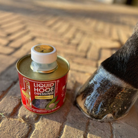 Kevin Bacon Hovolja Glitter