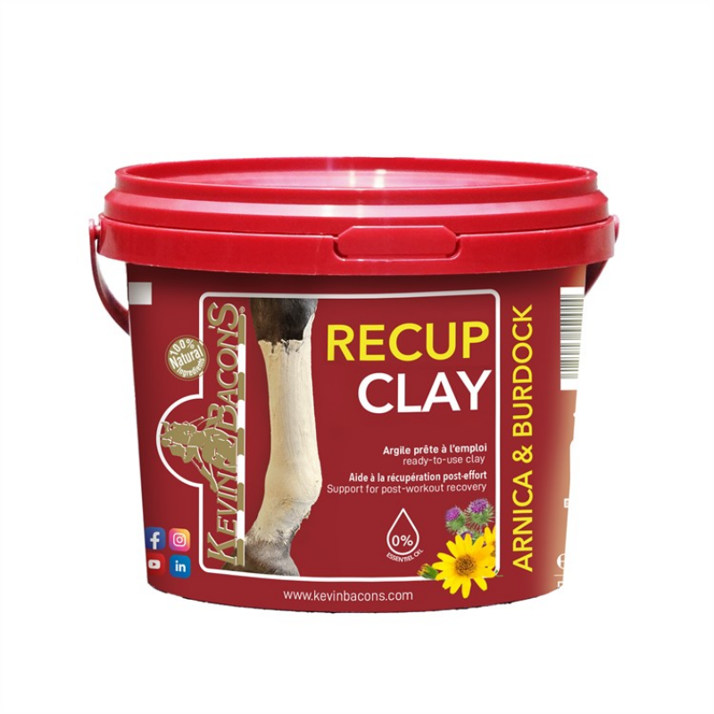 Kevin Bacon Lera Recup