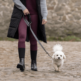 Kingsland Macey Hundhalsband+koppel