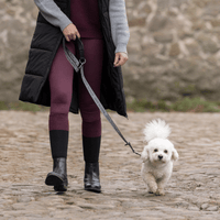 Kingsland Macey Hundhalsband+koppel