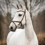 Knights Arthur träns