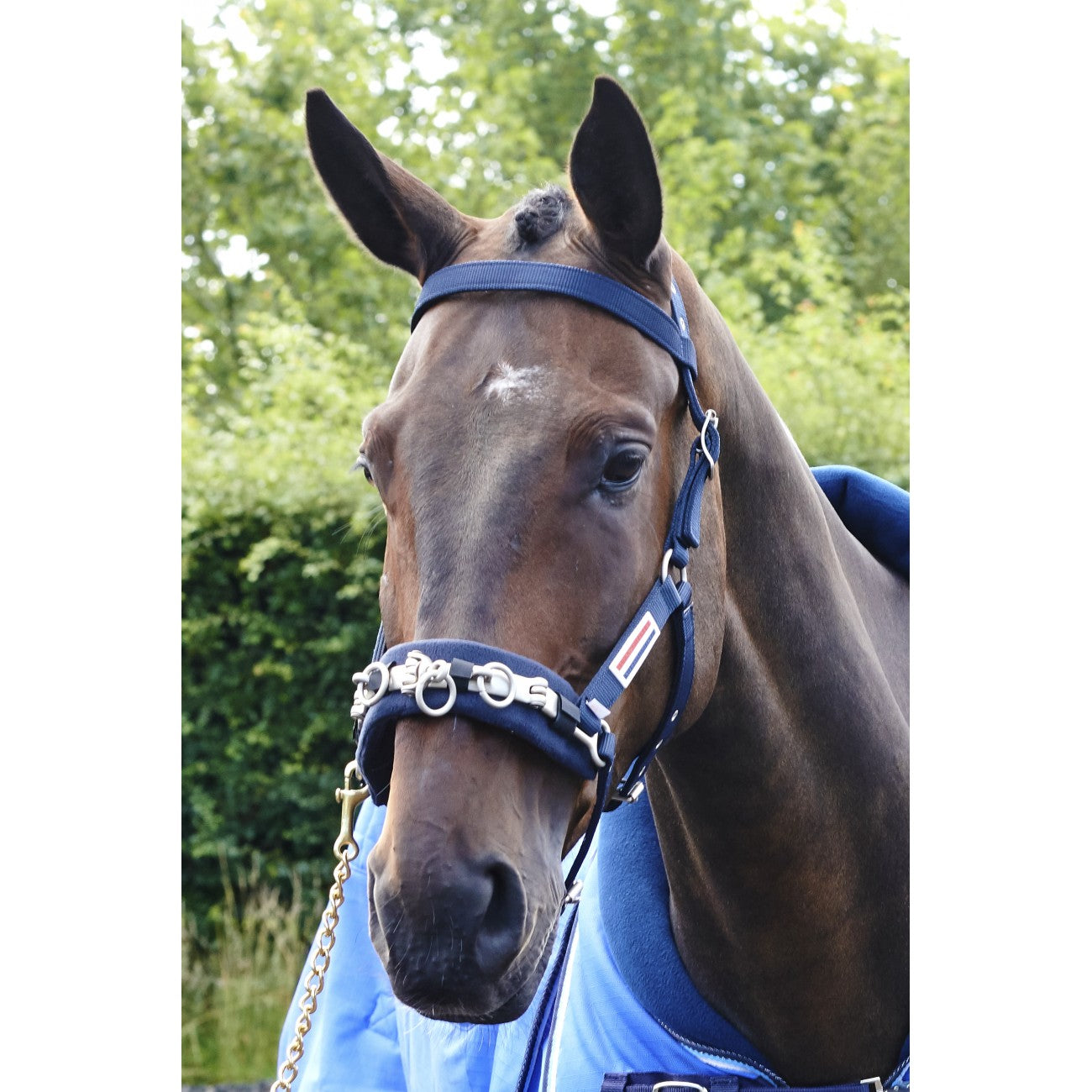 John Whitaker Longeringskapson