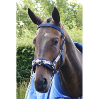 John Whitaker Longeringskapson