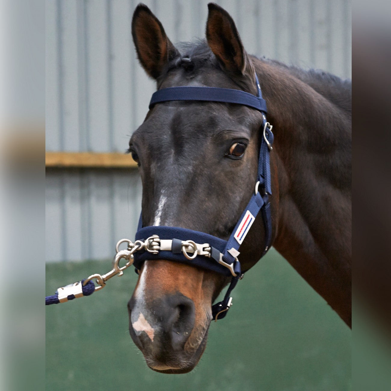 John Whitaker Longeringskapson