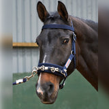 John Whitaker Longeringskapson