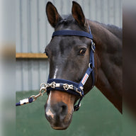 John Whitaker Longeringskapson