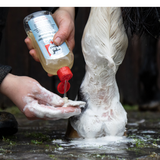 Leovet First aid Med-washlotion