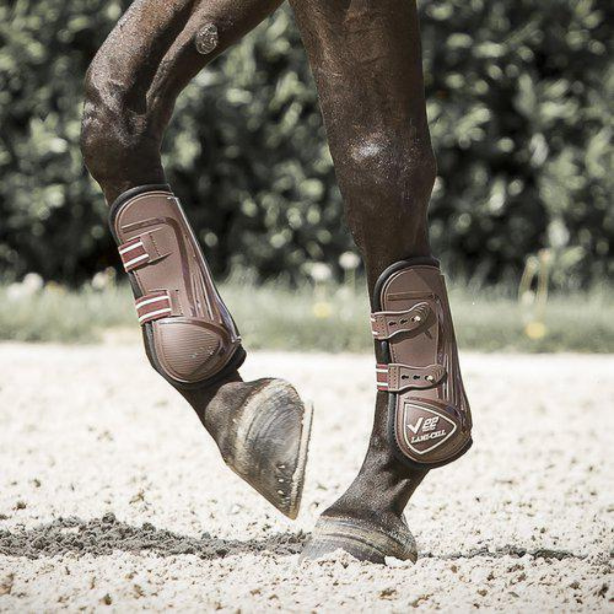 Lami-Cell V22 Senskydd Carbon Ponny