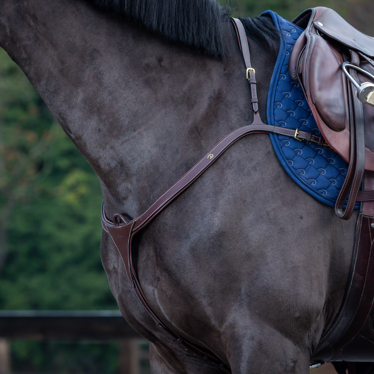 Dyon DY Breastplate with long bridge