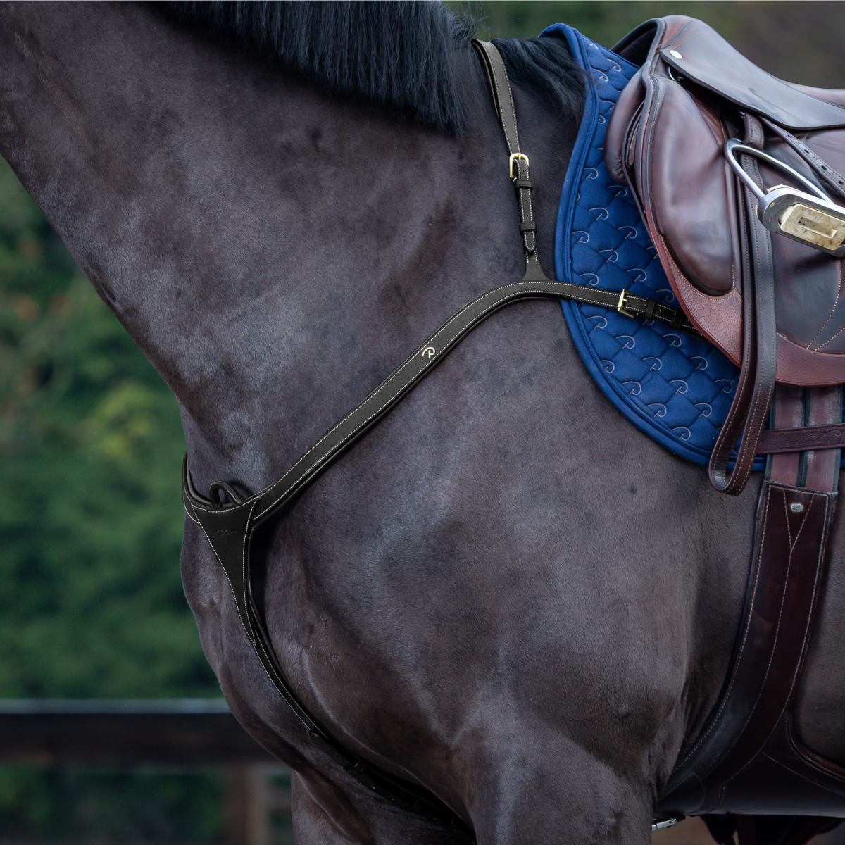 Dyon DY Breastplate with long bridge