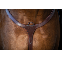 Dyon NE Brösta med brygga