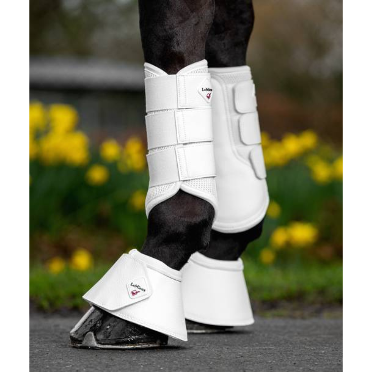 LeMieux Mesh Brushing Boots