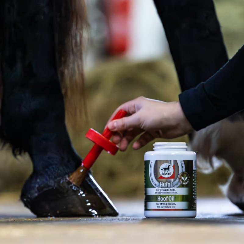 Leovet Hoof Oil