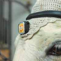 Light 01 Säkerhestslampa