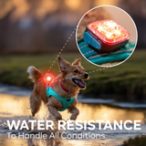 Light 01 Säkerhestslampa