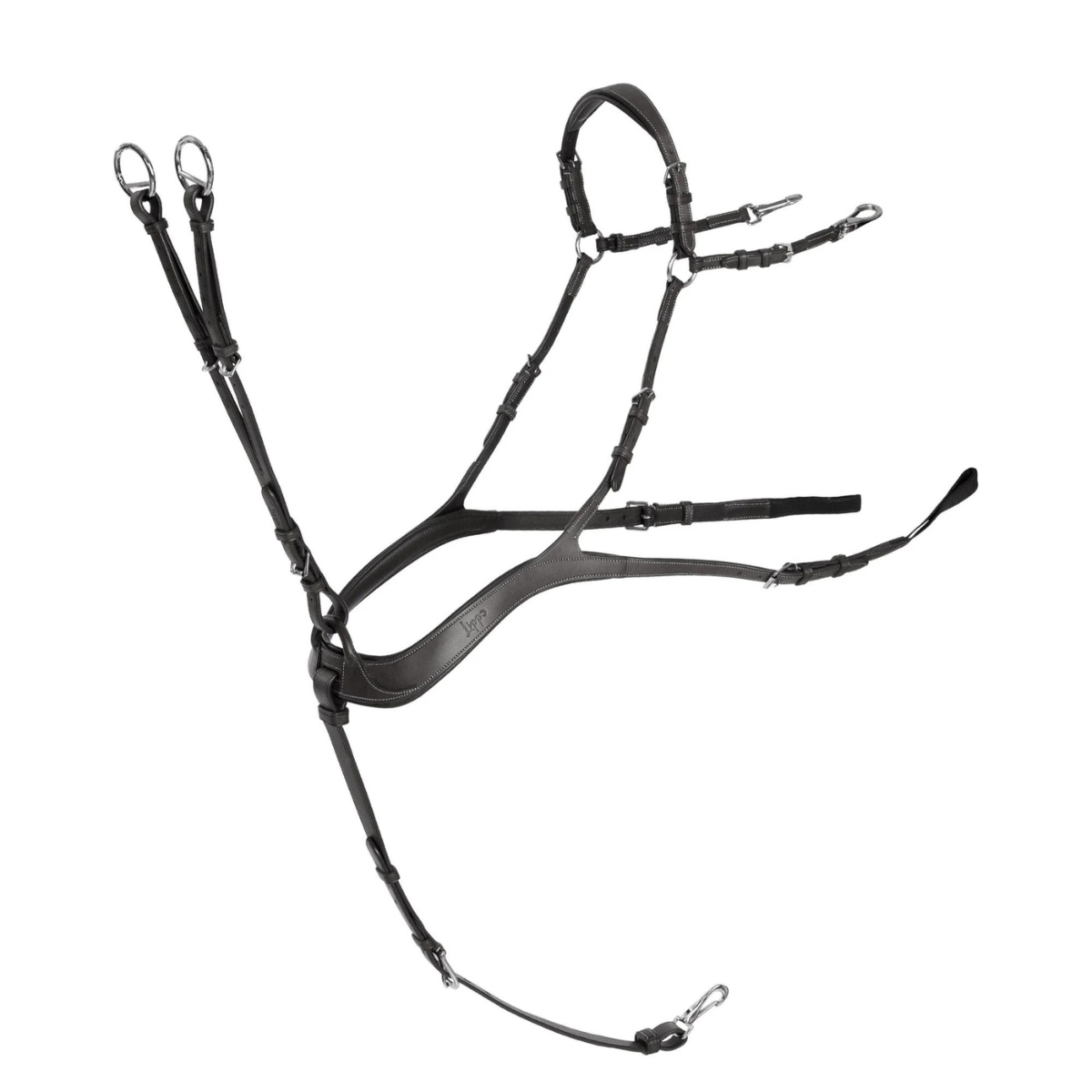 Lippo 5-point Front Bar