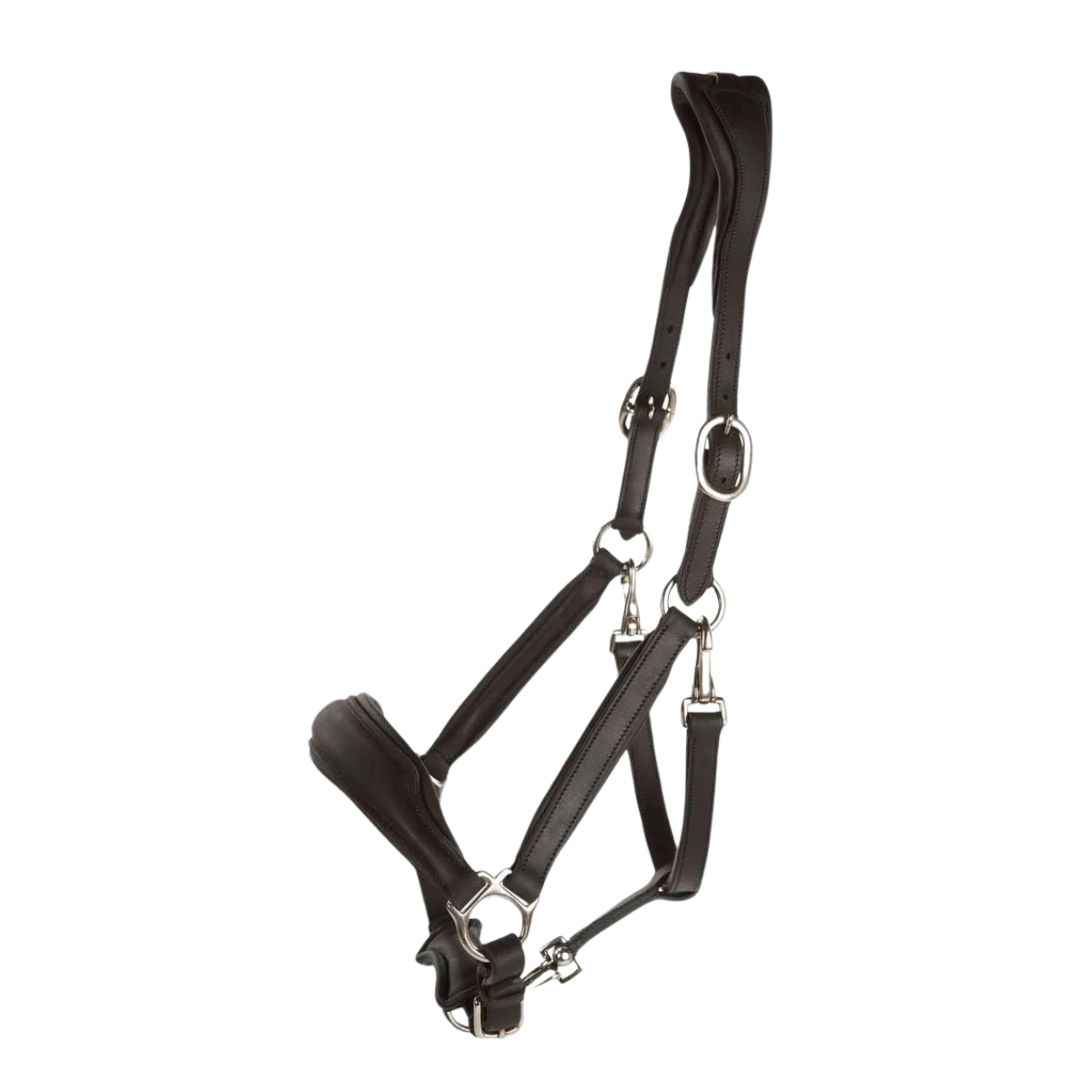 Lippo Basic leather halter grooming