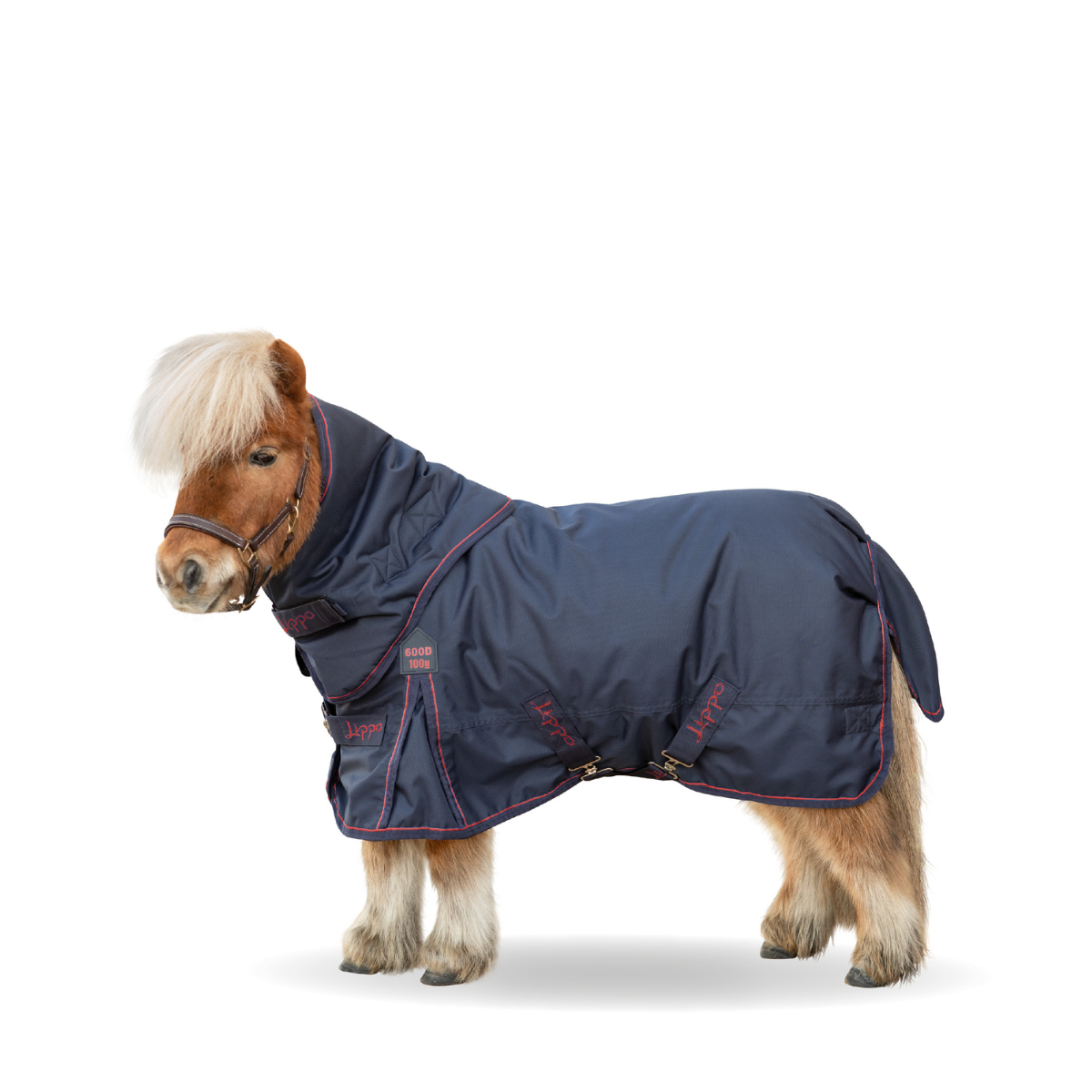 Lippo Basic plus rain cover Pony 100gr