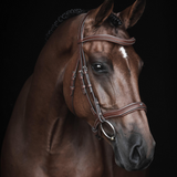 Lippo Eccelente Träns