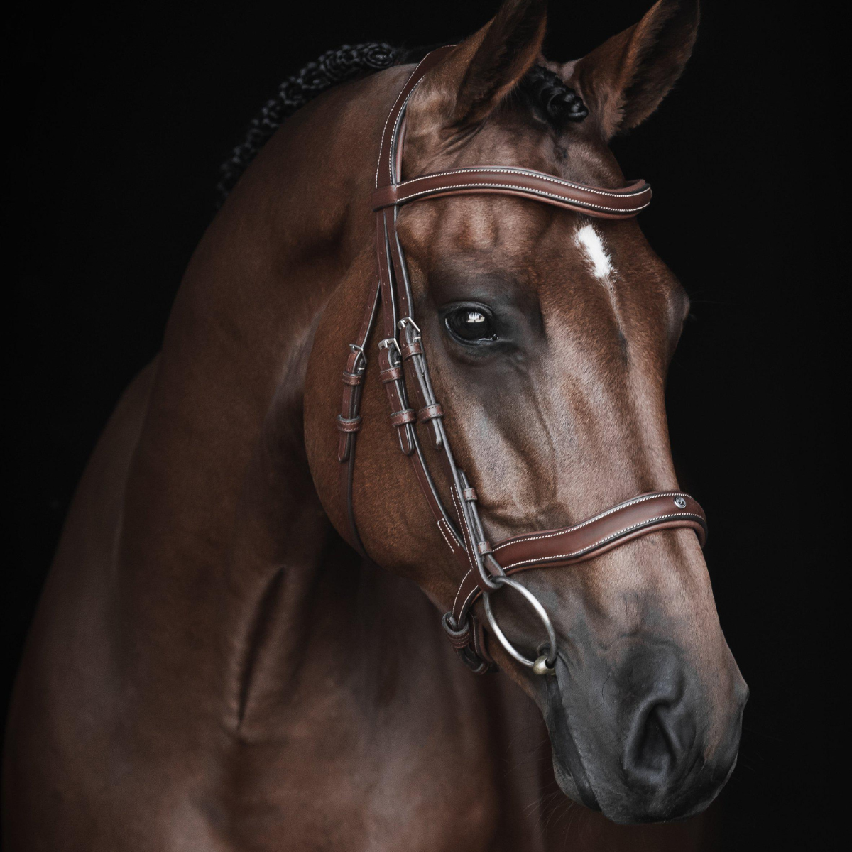 Lippo Eccelente Träns