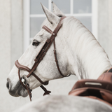 Lippo Eccelente Träns