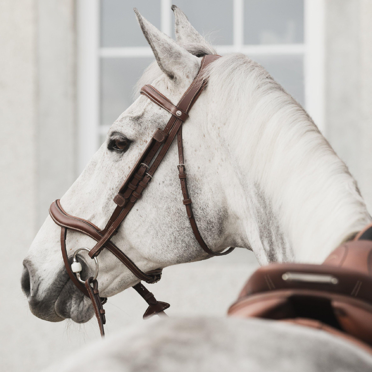 Lippo Eccelente Träns