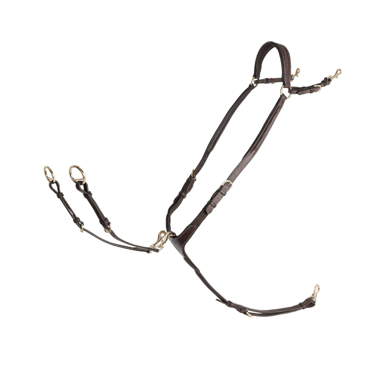 Lippo Förbygel Fazzino med Martingal