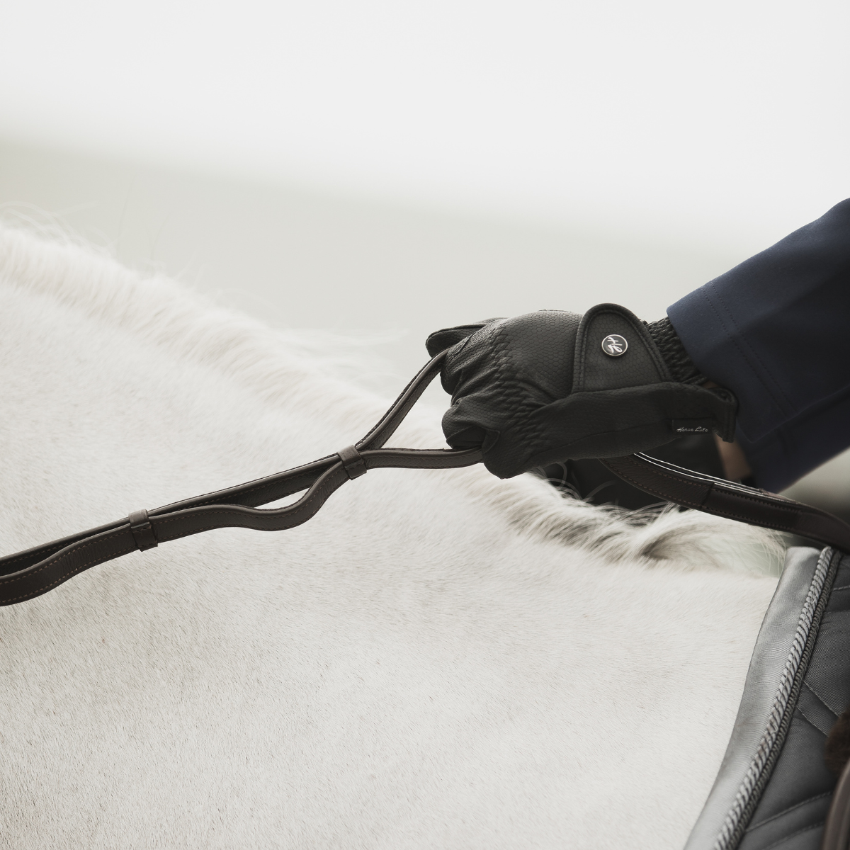 Lippo Supreme Hunter reins