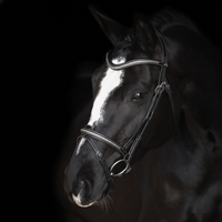 Lippo Supreme Nexon träns