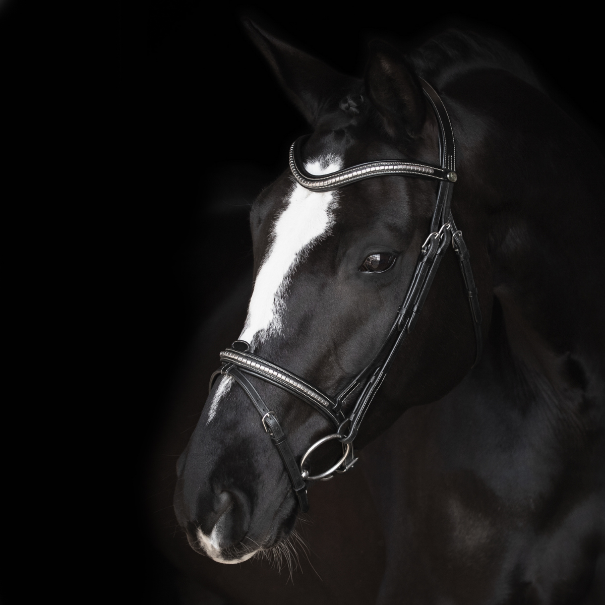 Lippo Supreme Nexon träns