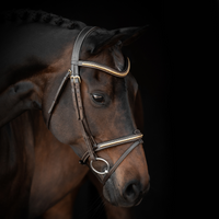 Lippo Supreme Nexon träns