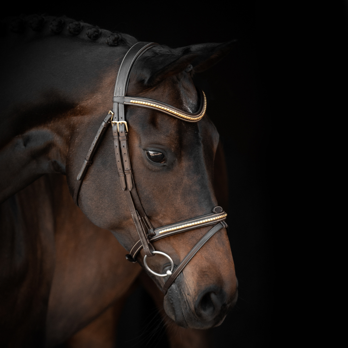 Lippo Supreme Nexon träns