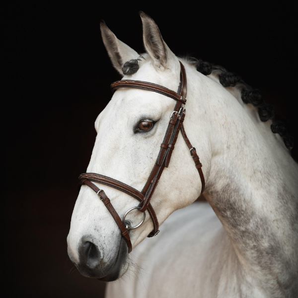 Lippo Träns Selected Fancy Slim