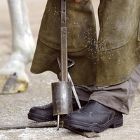 Mountain Horse Protective Jodphurs stålhätta