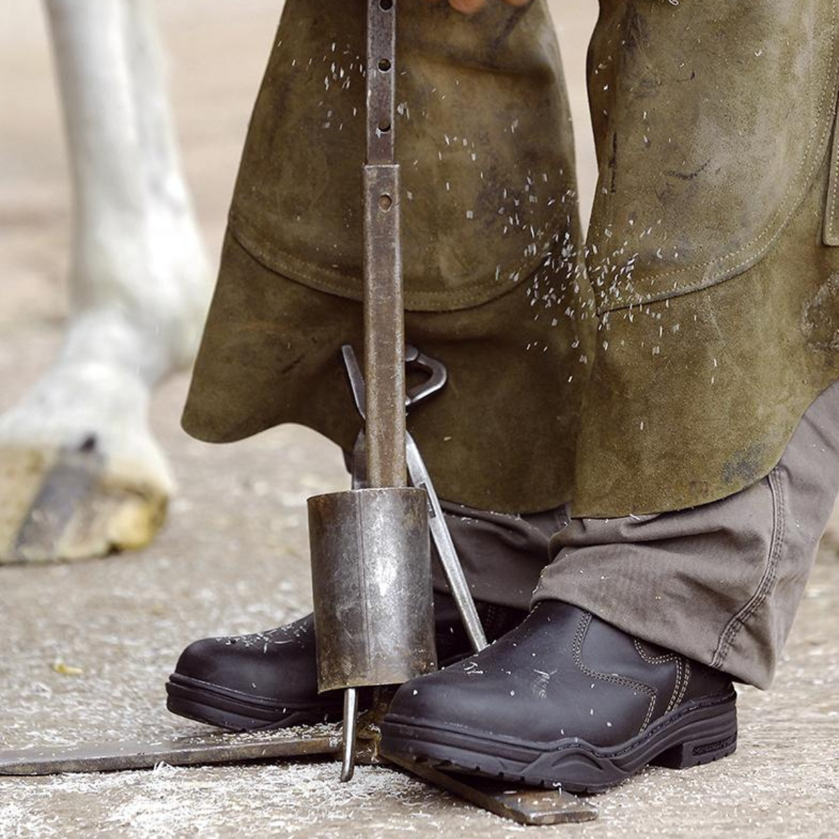 Mountain Horse Protective Jodphurs stålhätta